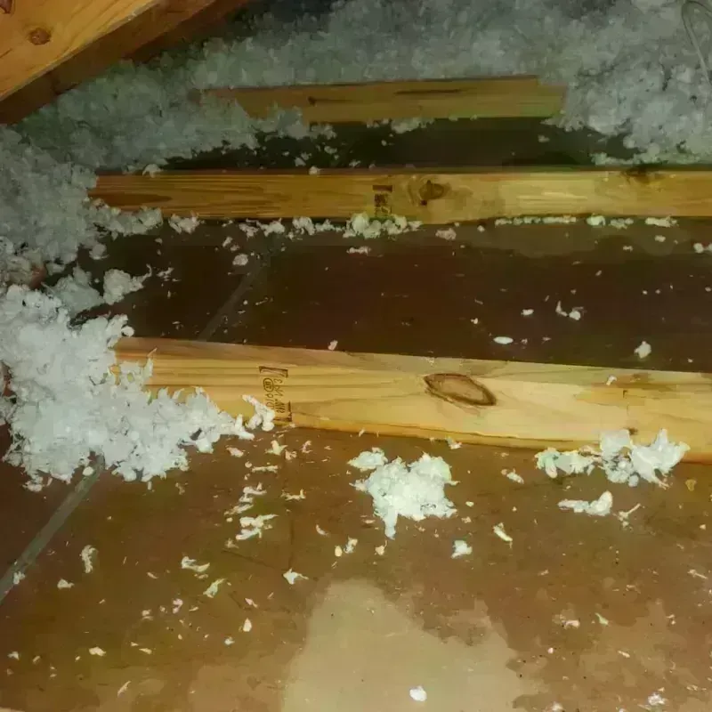 Attic Water Damage in Cabo Rojo, PR